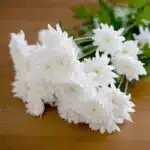 Send flowers