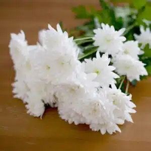 Send flowers
