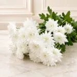 giftoo-pakistan-white bouquet