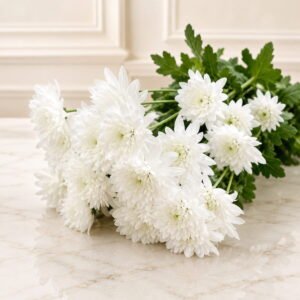 White Imported Daisies gift delivery in Pakistan