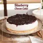 blueberry cheescake giftoo