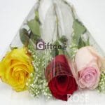 lahore paksitan gifts