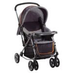 Stroller- Medium
