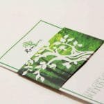 Raintree Spa Voucher Worth Rs. 5000