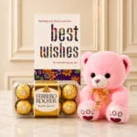 Cute Teddy bear and Rocher