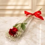 1 Imported Red Rose Stem Cone with gypso