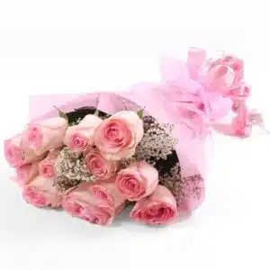 Imported Pink Roses