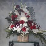 send gifts to pakistan-giftoo