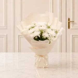 Wintry White