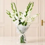 giftoo-pakistan-flowers-glads
