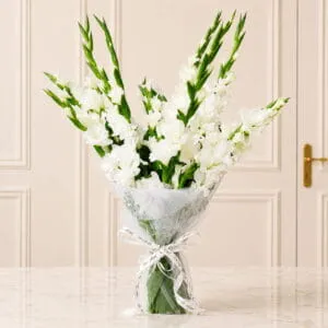 giftoo-pakistan-flowers-glads