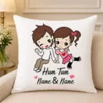 Hum Tum Cushion
