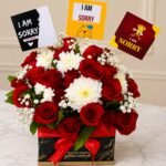 Special Sorry Gift