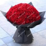 101-luxury-red-rose