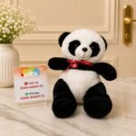 Panda gift delivery in Pakistan