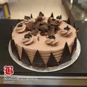 chocolate chip