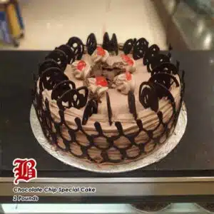 chocolate chip speacial