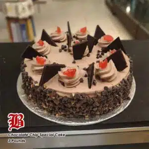 chocolate chip1