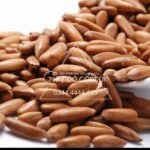 Pine Nuts