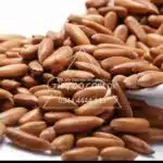 Pine Nuts