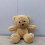 brown teddy 8 inch