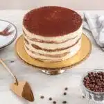 terimisu cake