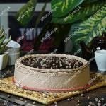 chocolate mousse cake