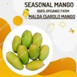 Malda (Saroli) Mango