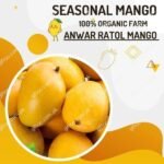 Anwar Ratol Mango
