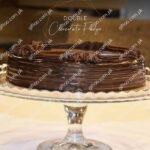 double chocolate fudge cake