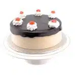 Chocolate Mocca Mousse Cake