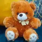 brown teddy bear