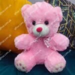 pink teddy bear