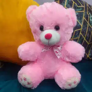 pink teddy bear