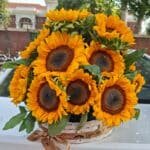 sunflowergiftoopakistan