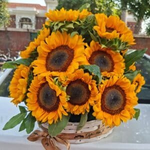 sunflowergiftoopakistan