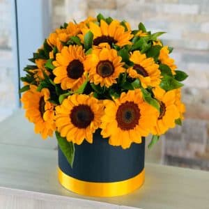 sunflower box