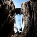 Touch for Men by Burberry