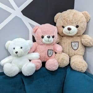 3 size teddy bear