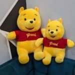 pooh pair