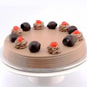 chocolate chip cake